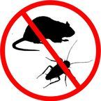 Dun-Rite Pest & Termite Control - Mesa, AZ, USA