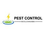 Pest Control Woolloongabba - Woolloongabba, QLD, Australia