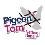 Pigeon Tom - North York, ON, Canada