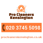 Professional Cleaners Kensington