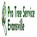 Pro Tree Service Evansville - Evansville, IN, USA