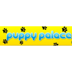 Puppy Palace Pet Shop - Brisbane, QLD, Australia