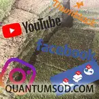 Quantum Sod - Tulsa, OK, USA