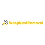 Wasp Nest Removal - Tornoto, ON, Canada