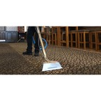 Carpet Cleaning South London - -London, London S, United Kingdom