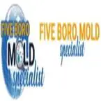 Five Boro Mold Specialist - Brooklyn, NY, USA