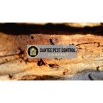 Santee Pest Control Company - Santee, CA, USA