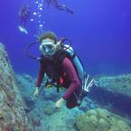 Scuba Diving Hawaii - Honolulu, HI, USA
