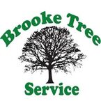 Brooke Tree Co - Millis, MA, USA