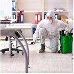 Sergeants Integrated Pest Solutions Inc - Naples, FL, USA