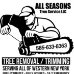 all seasons tree services ny - Rochester, NY, USA