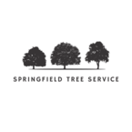 Springfield Tree Service - Springfield, MO, USA