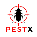 Pest X