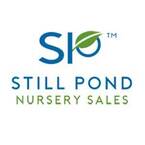 Still Pond Nursery Sales - Millington, MD, USA