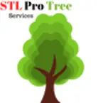 St. Louis Professional Tree Service - Clayton, MO, USA