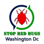 Stop Bed Bugs Washington Dc - Washington, DC, USA