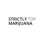 top marijuana - Denver, CO, USA