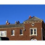 Target Roofing and Repair - Omaha, NE, USA