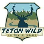 Teton Wild Custom Wildlife Tours - Jackson, WY, USA