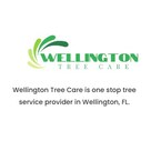 Wellington Tree Care - Welligton, FL, USA