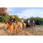 "Horse Retreats Texas"
