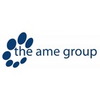 The AME Group - Baton Rouge, LA, USA