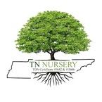 TN Nursery - Altamont, TN, USA