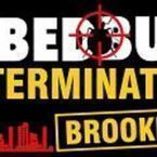 A1 Bed Bug Exterminator Brooklyn - Brooklyn, NY, USA
