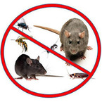 Total Pest control Maitland - Maitland, FL, USA