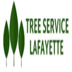Tree Service Lafayette - Lafayette, LA, USA
