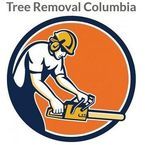 Tree Removal Columbia - Columbia, SC, USA