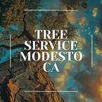 Tree Service Modesto CA - Modesto, CA, USA