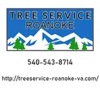Tree Service Roanoke VA - Roanoke, VA, USA