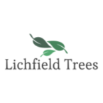 Lichfield Trees - Lichfield, Staffordshire, United Kingdom