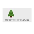 Troupville Tree Service - Carrollton, GA, USA