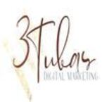 3tubas Digital Marketing - Sylvania, OH, USA