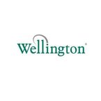 Wellington Drive Technologies - Buffalo Grove, IL, USA