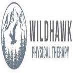 WILDHAWK PHYSICAL THERAPY CLINIC IN ASHEVILLE NC - Asheville, NC, USA