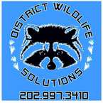 District Wildlife Solutions - Washington, DC, USA