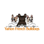 Yahon French Bulldogs - Los Angeles, CA, USA