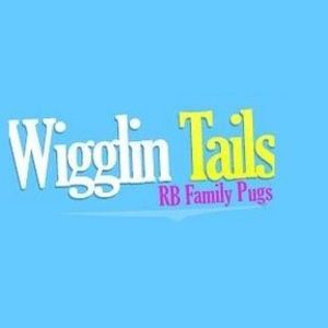 RB Family Pugs-Wigglin Tails - West Deptford, NJ, USA