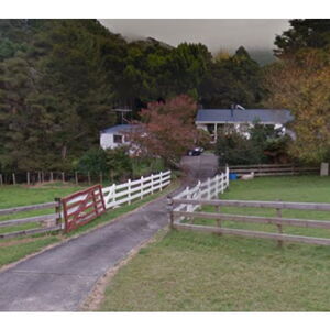 Pepper Tree Nursery - Thames-Coromandel, Waikato, New Zealand
