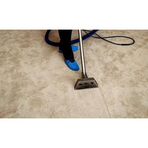 Carpet Cleaning East Putney