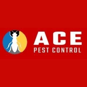 Residential Pest Control Canberra - Canberra, ACT, Australia