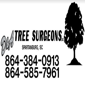 D & A Tree Surgeons - Spartanburg, SC, USA