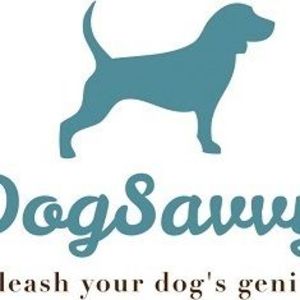 Dog Savvy Los Angeles - Los Angeles, CA, USA