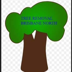 Tree Removal Brisbane North - Bray Park, QLD, Australia