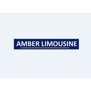 Amber Limousine - Tampa, FL, USA