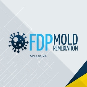 FDP Mold Remediation | Mold Remediation McLean - McLean, VA, USA