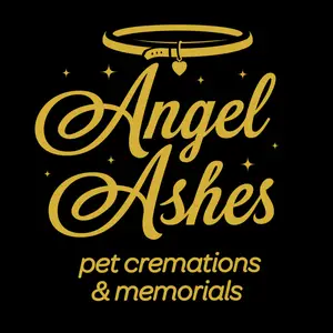 Angel Ashes - Adealide, SA, Australia